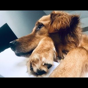 Meet your Posher, Sonja